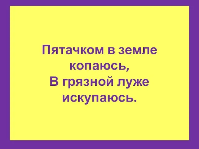 Пятачком в земле копаюсь, В грязной луже искупаюсь.