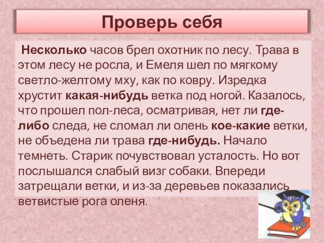 Несколько часов брел охотник по лесу. Трава в этом лесу не росла,