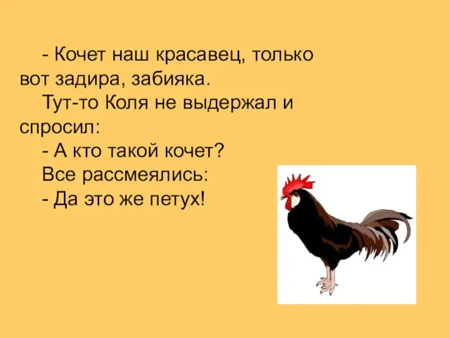 - Кочет наш красавец, только вот задира, забияка. Тут-то Коля не выдержал