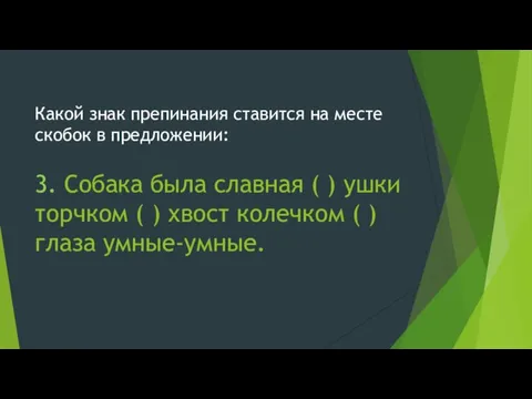 Какой знак препинания ставится на месте скобок в предложении: 3. Собака была