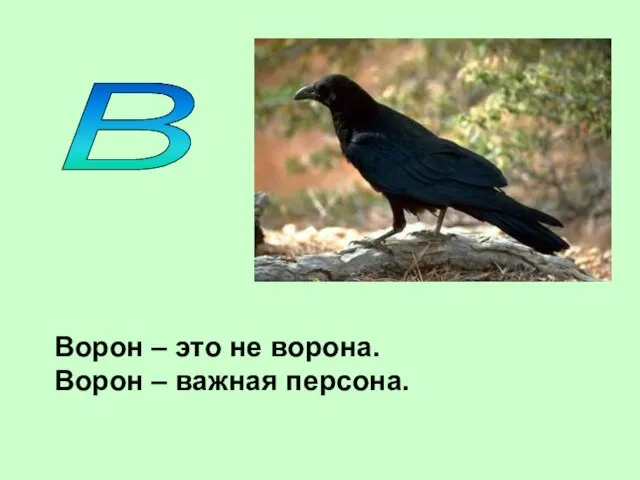 В Ворон – это не ворона. Ворон – важная персона.