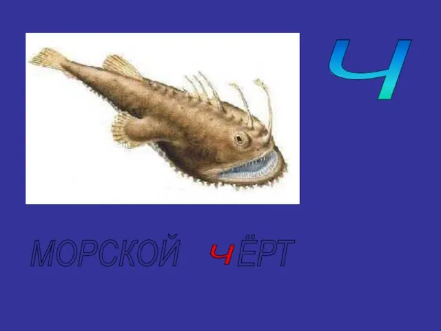 Ч МОРСКОЙ ЁРТ Ч