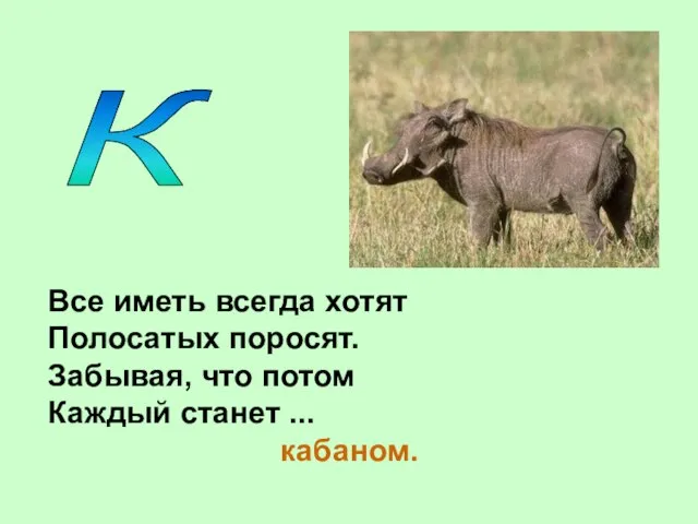 К Все иметь всегда хотят Полосатых поросят. Забывая, что потом Каждый станет ... кабаном.