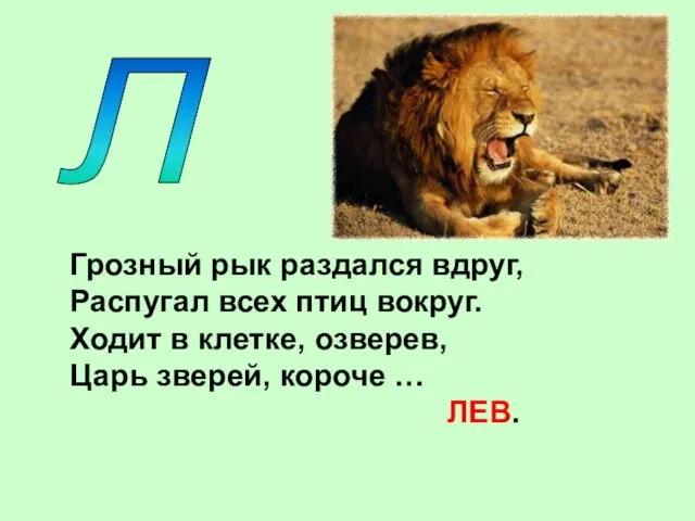 Л Грозный рык раздался вдруг, Распугал всех птиц вокруг. Ходит в клетке,