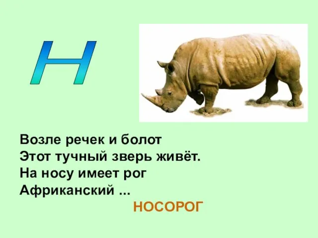 Н Возле речек и болот Этот тучный зверь живёт. На носу имеет рог Африканский ... НОСОРОГ