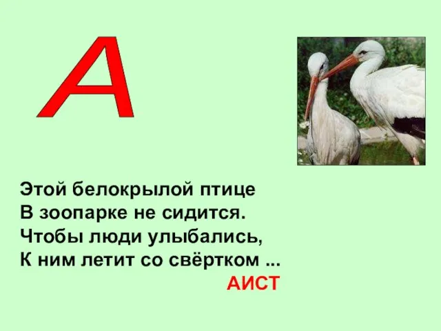 А Этой белокрылой птице В зоопарке не сидится. Чтобы люди улыбались, К