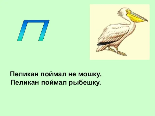 П Пеликан поймал не мошку, Пеликан поймал рыбешку.