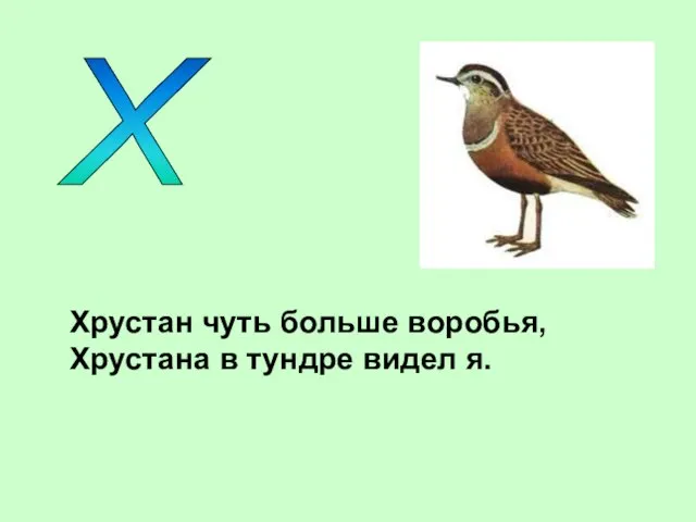 Х Хрустан чуть больше воробья, Хрустана в тундре видел я.