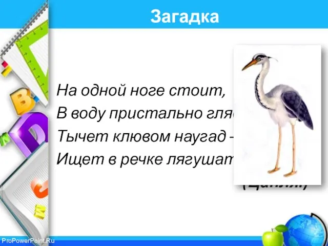 Загадка На одной ноге стоит, В воду пристально глядит. Тычет клювом наугад