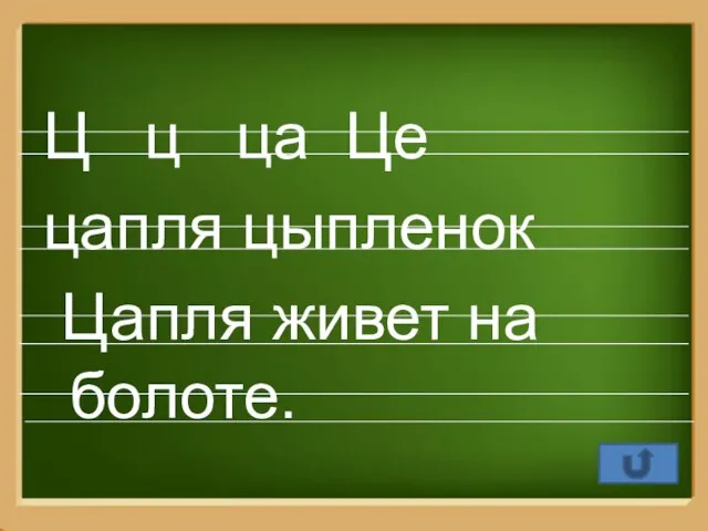 Ц ц ца Це цапля цыпленок Цапля живет на болоте.