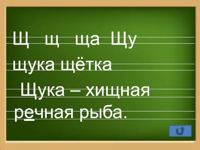 Щ щ ща Щу щука щётка Щука – хищная речная рыба.