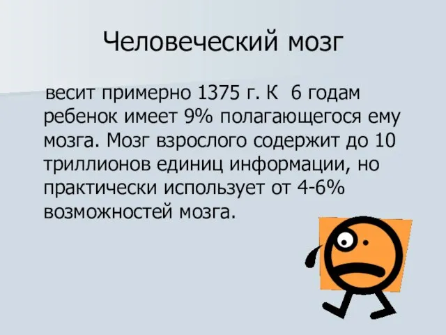 Человеческий мозг весит примерно 1375 г. К 6 годам ребенок имеет 9%