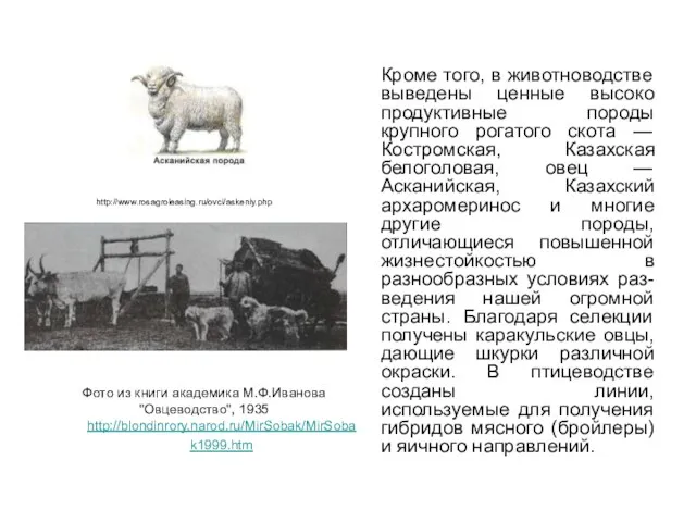 http://www.rosagroleasing.ru/ovci/askeniy.php Кроме того, в животноводстве выведены ценные высоко продуктивные породы крупного рогатого