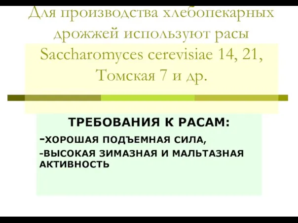 Для производства хлебопекарных дрожжей используют расы Saccharomyces cerevisiae 14, 21, Томская 7
