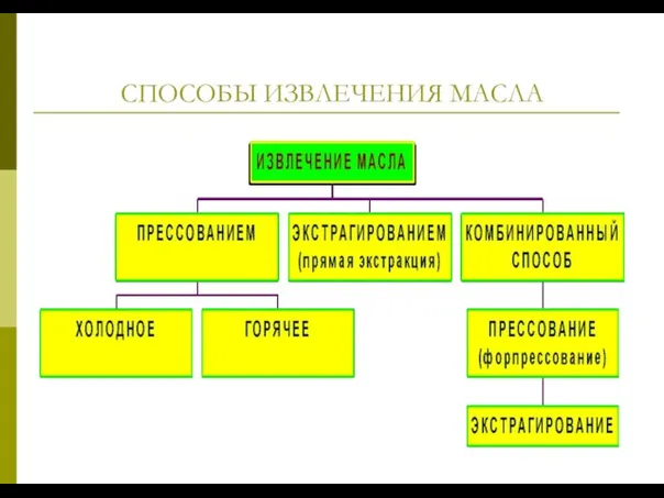 СПОСОБЫ ИЗВЛЕЧЕНИЯ МАСЛА