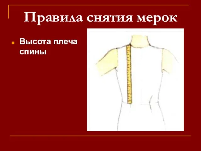 Правила снятия мерок Высота плеча спины