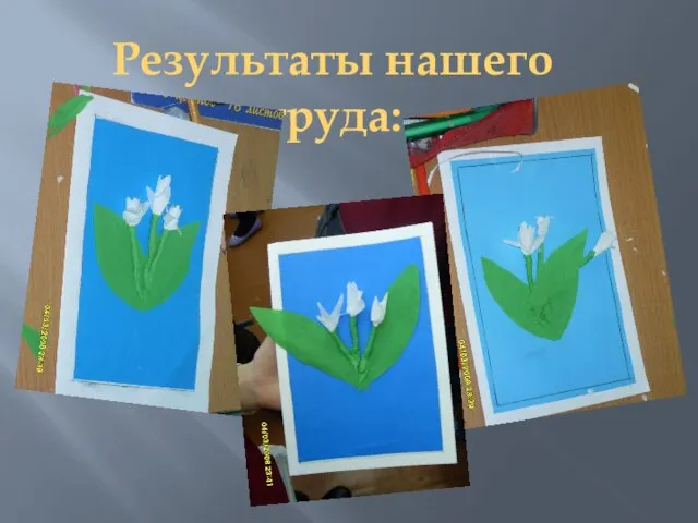 Результаты нашего труда: