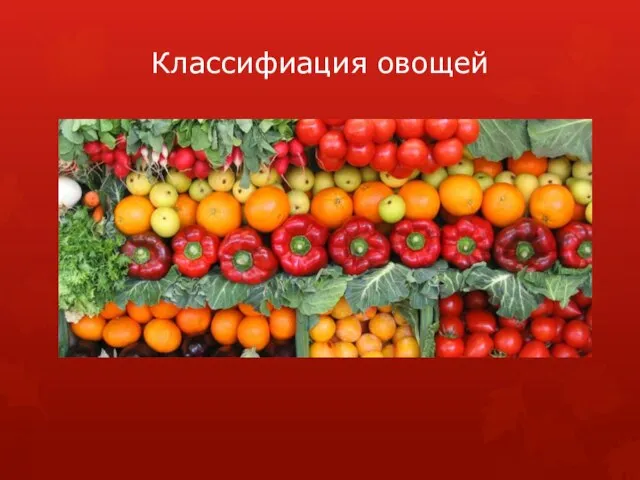 Презентация на тему Классификация овощей (5 класс)