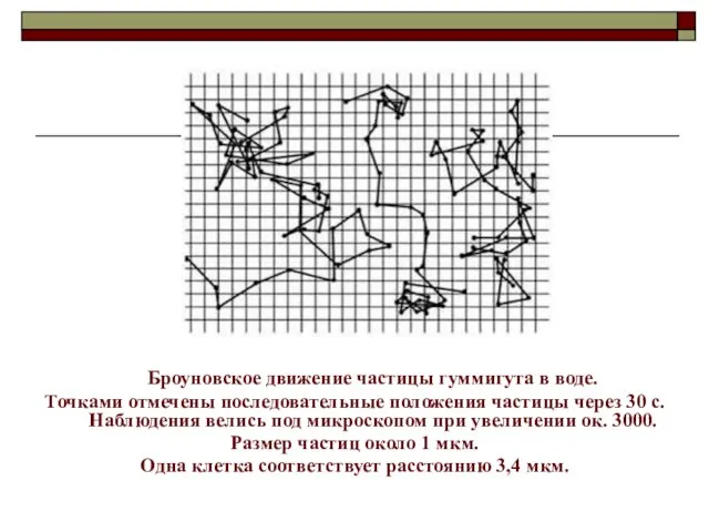 Броуновское движение частицы гуммигута в воде. Точками отмечены последовательные положения частицы через