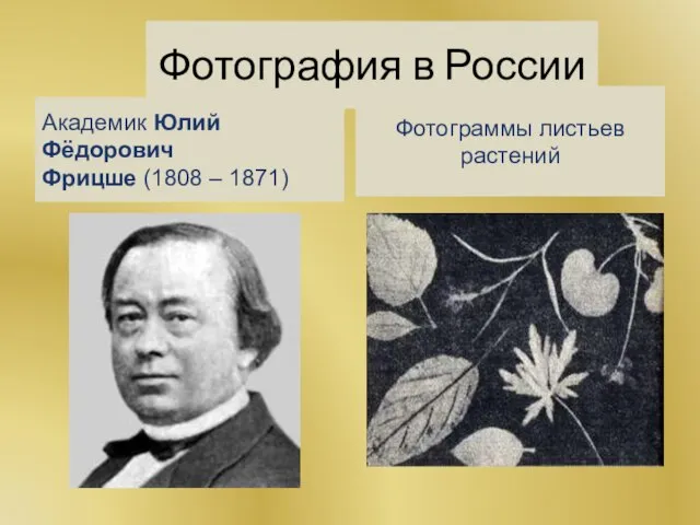 Фотография в России Академик Юлий Фёдорович Фрицше (1808 – 1871) Фотограммы листьев растений