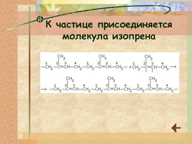 К частице присоединяется молекула изопрена