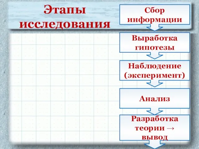 Сбор информации Наблюдение (эксперимент) Анализ Выработка гипотезы Разработка теории → вывод Этапы исследования