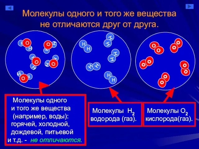 Молекулы одного и того же вещества не отличаются друг от друга. Молекулы