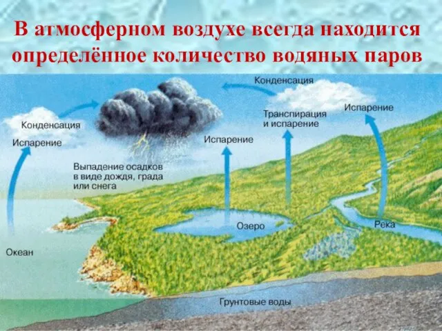 В атмосферном воздухе всегда находится определённое количество водяных паров