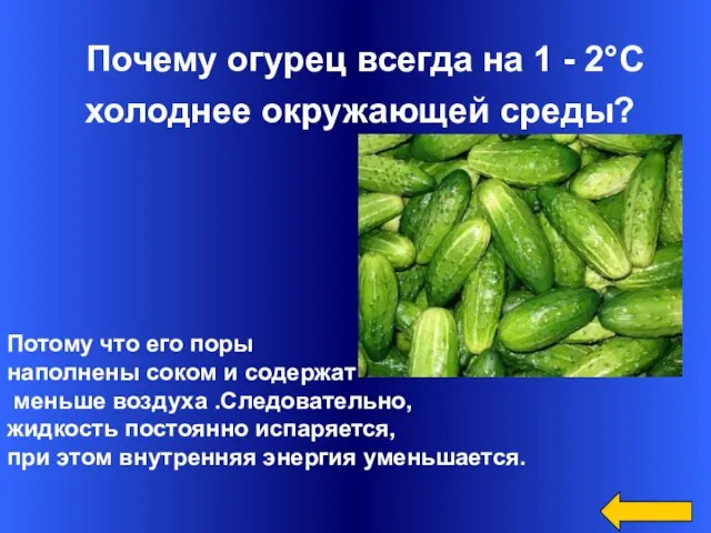 Почему огурец всегда на 1 - 2°С холоднее окружающей среды? Потому что