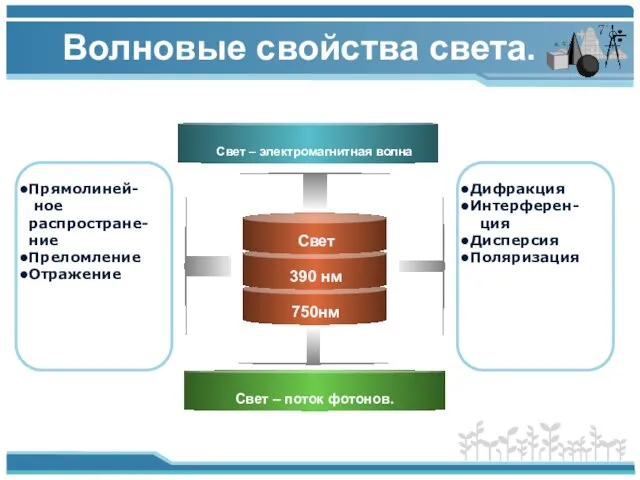 Волновые свойства света.