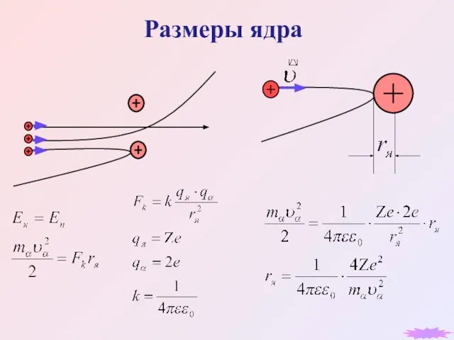 Размеры ядра