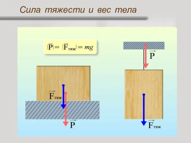 Сила тяжести и вес тела