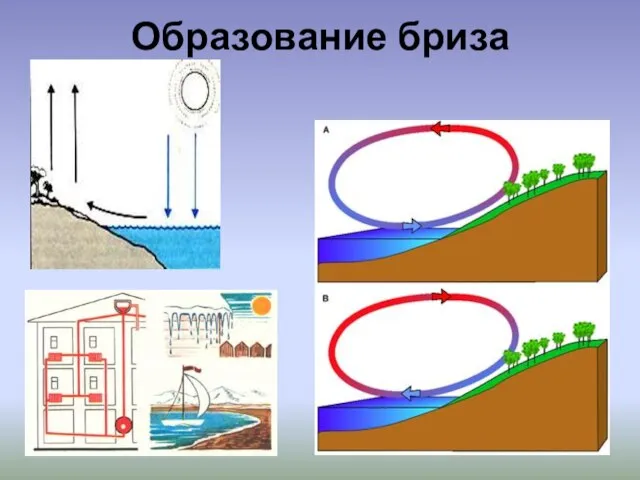 Образование бриза