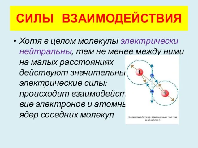 Хотя в целом молекулы электрически нейтральны, тем не менее между ними на