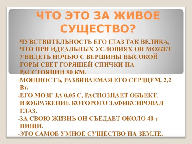 ЧТО ЭТО ЗА ЖИВОЕ СУЩЕСТВО? ЧУВСТВИТЕЛЬНОСТЬ ЕГО ГЛАЗ ТАК ВЕЛИКА, ЧТО ПРИ