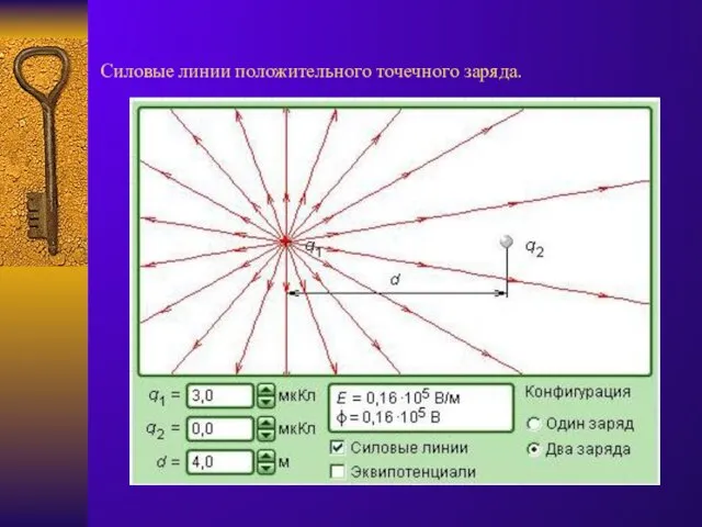 Силовые линии положительного точечного заряда.