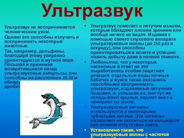 Ультразвук Ультразвук не воспринимается человеческим ухом. Однако его способны излучать и воспринимать