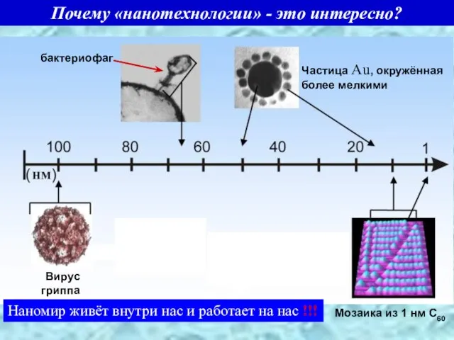 Почему «нанотехнологии» - это интересно? бактериофаг Вирус гриппа Частица Au, окружённая более мелкими