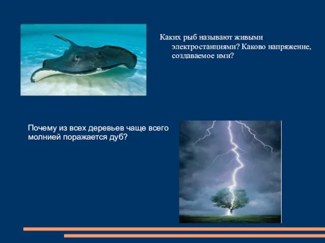 Каких рыб называют живыми электростанциями? Каково напряжение, создаваемое ими? Почему из всех