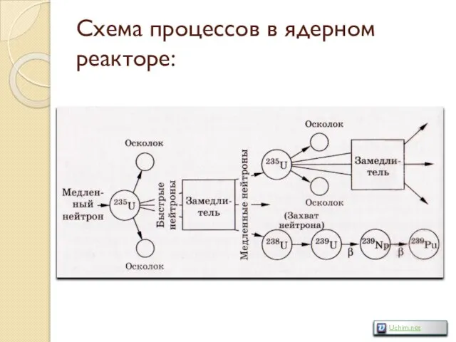 Схема процессов в ядерном реакторе: