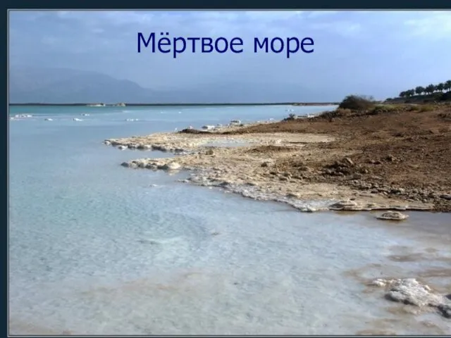 Мёртвое море