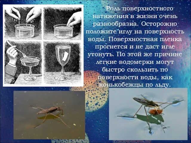 Роль поверхностного натяжения в жизни очень разнообразна. Осторожно положите иглу на поверхность