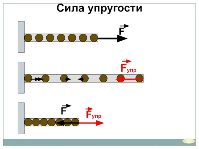 Сила упругости