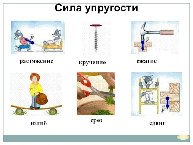 Сила упругости растяжение изгиб сжатие кручение срез сдвиг