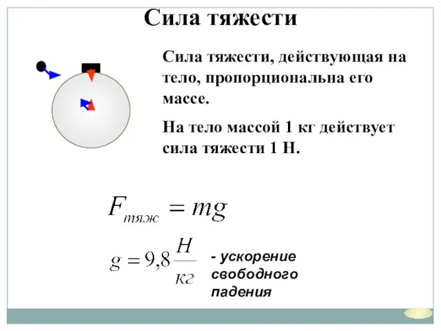 Сила тяжести Сила тяжести, действующая на тело, пропорциональна его массе. На тело