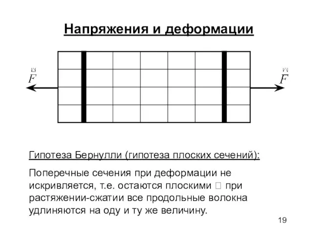 Напряжения и деформации Гипотеза Бернулли (гипотеза плоских сечений): Поперечные сечения при деформации