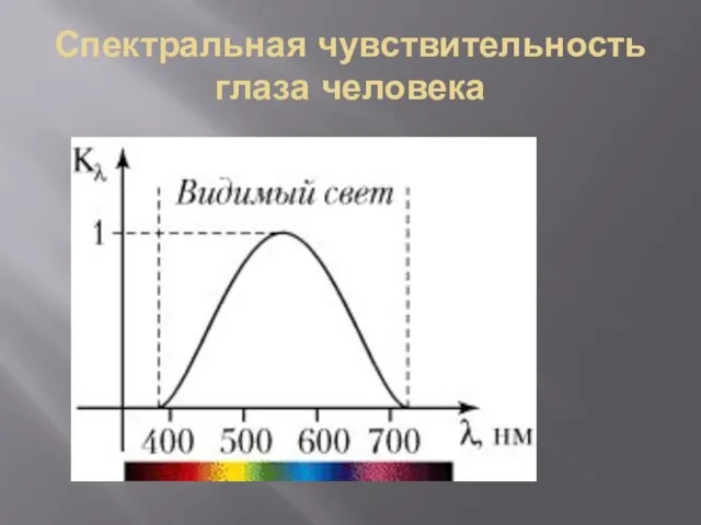 Спектральная чувствительность глаза человека