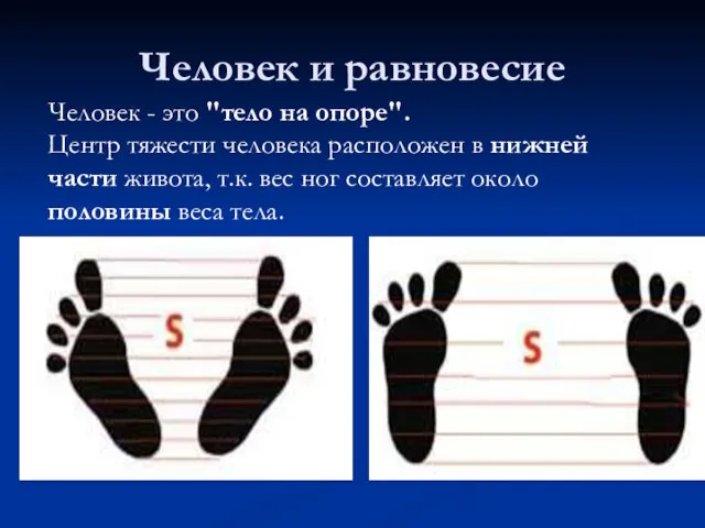 Человек и равновесие Человек - это "тело на опоре". Центр тяжести человека