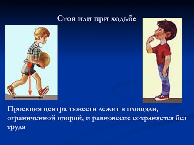 Стоя или при ходьбе Проекция центра тяжести лежит в площади, ограниченной опорой,