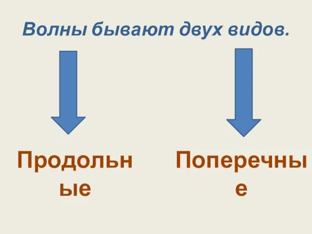 Волны бывают двух видов. Продольные Поперечные